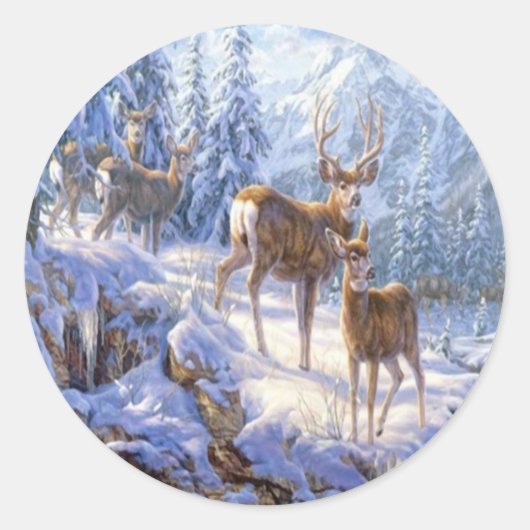 Étiquettes (Devant)