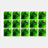 Étiquettes à la recherche de vert (Feuille)