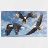 Étiquettes Aigle à tête blanche (Design 2)