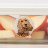 Étiquettes Anglais Cocker Peinture Espagnole - Art Chien orig (Apposé)