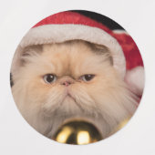 Étiquettes animaux mignons de Noël mélange (Design 2)
