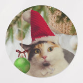 Étiquettes animaux mignons de Noël mélange (Design 1)