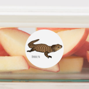 Étiquettes Armadillo girdled lizard