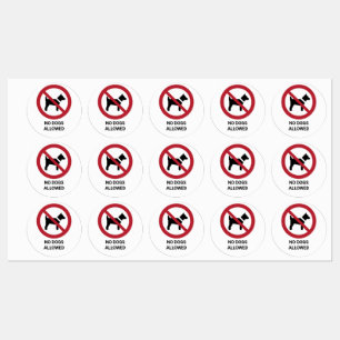Étiquettes Aucun chien autorisé, signe d'interdiction