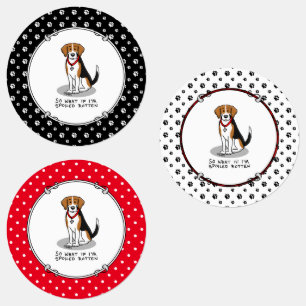 Étiquettes Beagle pourri Spoché (tri couleur 3) Chien drôle