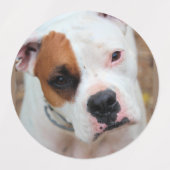 Étiquettes Boxer (Design 2)