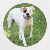 Étiquettes Boxer (Design 1)