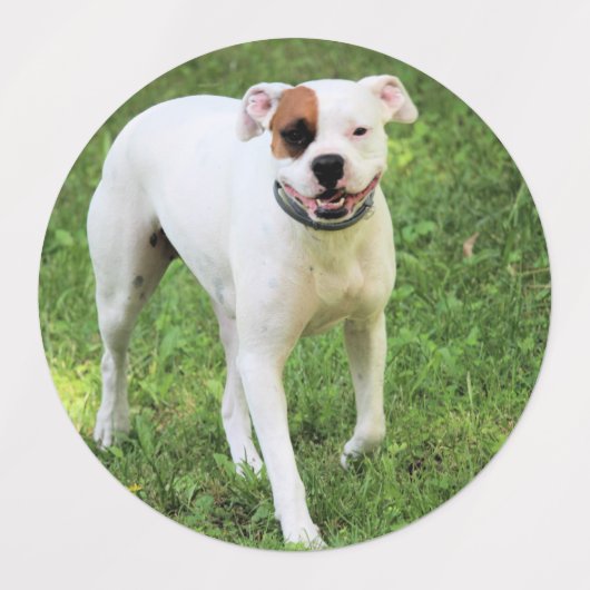 Étiquettes Boxer (Design 1)