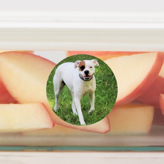 Étiquettes Boxer (Apposé)