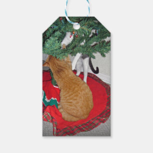 Étiquettes-cadeau 12 Escalade de chats