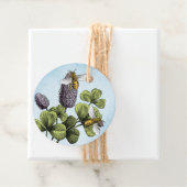 Étiquettes Cadeau Abeilles de miel et jarre de trèfle (En situation)