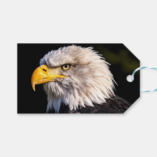 Étiquettes-cadeau Aigle de Bald (Devant (Horizontal))