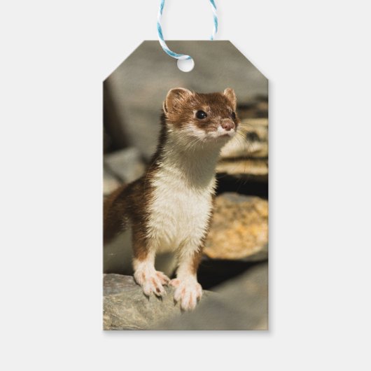 Étiquettes-cadeau Alerte Weasel (Devant)