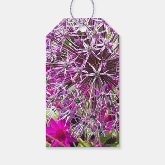 Étiquettes-cadeau Allium & Fleurs d'été (Devant)