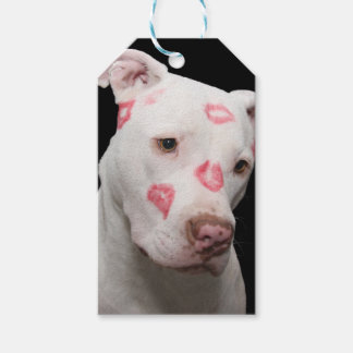 Étiquettes-cadeau Amour Pitbull modifiable