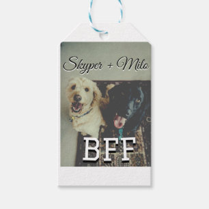 Étiquettes-cadeau Animaux de compagnie amis besties ajouter nom anim