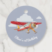 Étiquettes Cadeau Anniversaire de l'avion vintage (Dos)