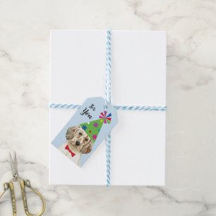 Étiquettes-cadeau Anniversaire Fête Anglais Setter Tags cadeaux