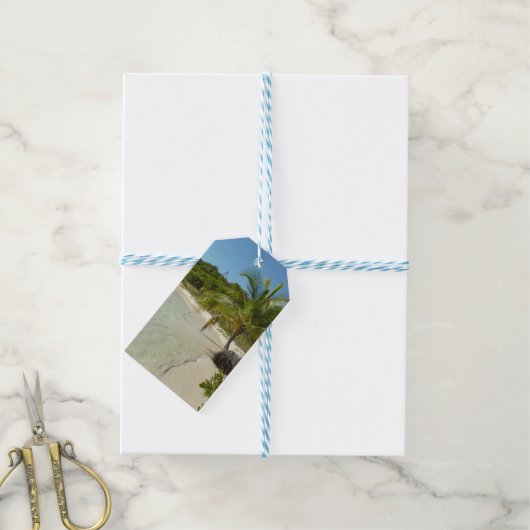 Étiquettes-cadeau Antiguan Beach Beautiful Tropical Landscape (Avec de laficelle)