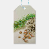 Étiquettes-cadeau Aquarelle Pinõn Nuts Pinecone Nouveau-Mexique (Devant)