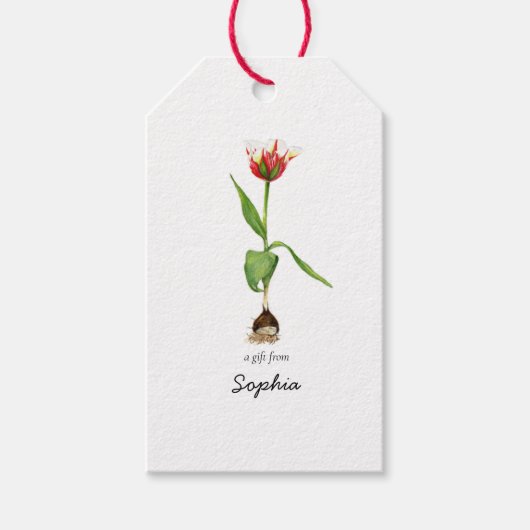 Étiquettes-cadeau Aquarelle Tulip Fleur de printemps Joyeux annivers (Devant)