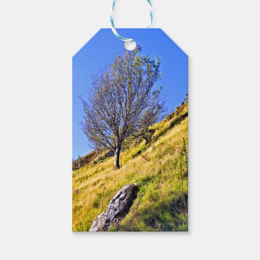 ÉTIQUETTES-CADEAU ARBRE SOLITAIRE (Devant)