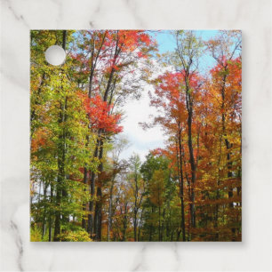 Étiquettes Cadeau Arbres d'automne et ciel bleu Photographie de la n