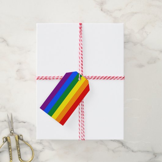 Étiquettes-cadeau Arc-en-ciel LGBT Pride (Avec de la ficelle)