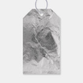 Étiquettes-cadeau Argent Dinosaur Roar Anniversaire (Dos)