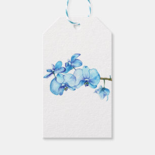 Étiquettes-cadeau Art botanique de l'orchidée bleue