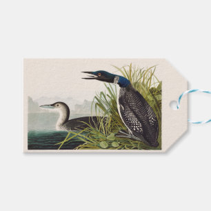 Étiquettes-cadeau Art Nature Oiseau Plongeon Huard Audubon Vintage