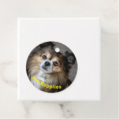 Étiquettes Cadeau Articles pour animaux de compagnie | (En situation)