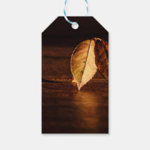 Aube Feuille d'automne Abstraite