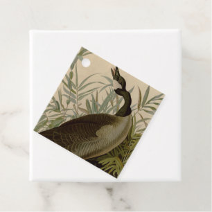 Étiquettes Cadeau Audubon Canada Oies Oiseaux sauvages