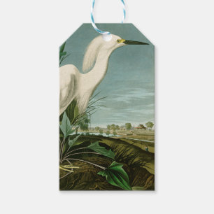 Étiquettes-cadeau Audubon Héron de neige Oiseaux d'aigrettes blanche