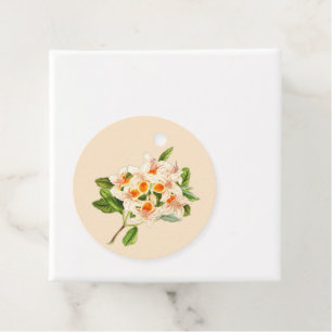 Étiquettes Cadeau Azalée magnifique, orange floral