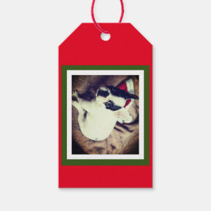 Étiquettes-cadeau Baby Boston Bull Christmas