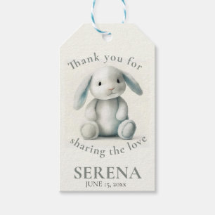 Étiquettes-cadeau Baby shower de lapin farci de boue