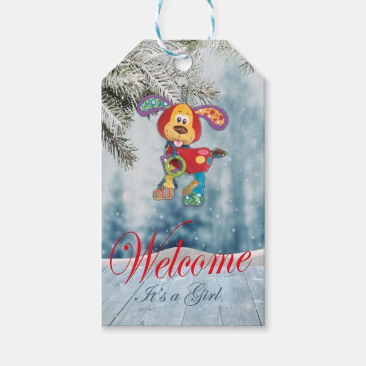 Étiquettes-cadeau Baby shower de vacances (Devant)