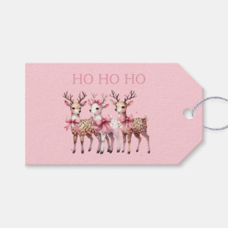 Étiquettes-cadeau Balise Cadeau de Noël rose adorable Ho Ho Ho