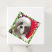 Étiquettes Cadeau Balise cadeau de vacances de Blenheim Cavalier Esp (En situation)