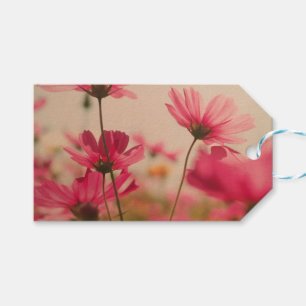 Étiquettes-cadeau Balise cadeau Fleurs Cosmos Jardin Rose