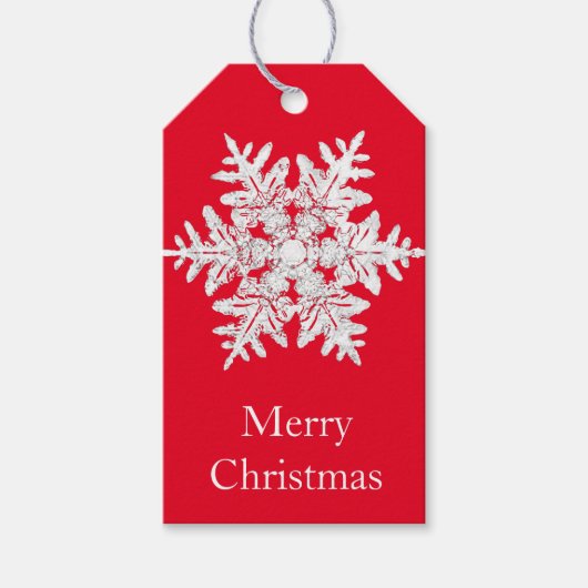 Étiquettes-cadeau Balise cadeau MERRY CHRISTMAS BENTLEY SNOWFLAKE (Devant)
