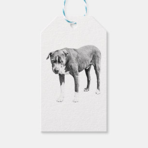 Étiquettes-cadeau Balise cadeau Pit Bull