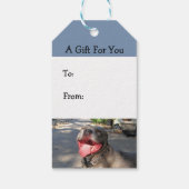 Étiquettes-cadeau Balise Cadeau Pitbull Souriant (Dos)