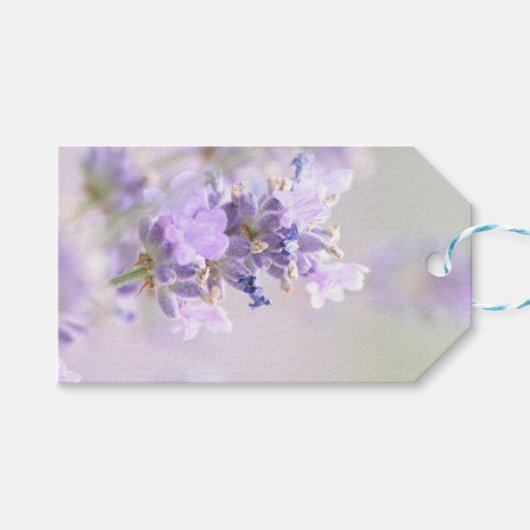 Étiquettes-cadeau Balise de cadeau photo Lavender Bokeh (Devant (Horizontal))