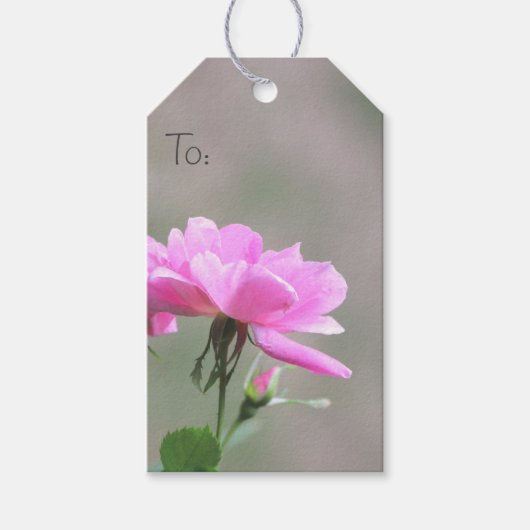 Étiquettes-cadeau Balise de petit Rose de prélèvement (Devant)