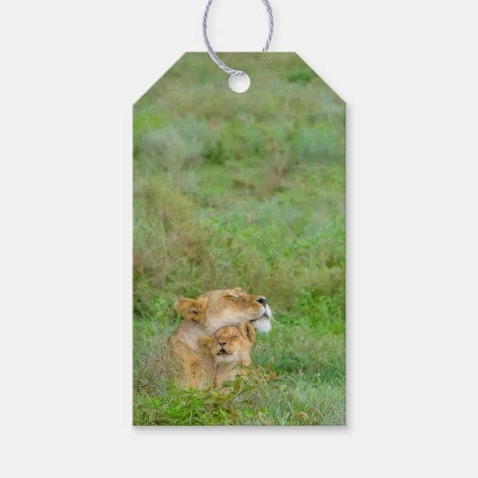 Étiquettes-cadeau Balise Mère's Love Lioness & Baby Gift (Devant)