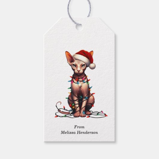 Étiquettes-cadeau Balises Cadeau Chat Sphynx (Devant)