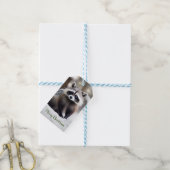 Étiquettes-cadeau Balises Cadeau Cute Raccoon (Avec de laficelle)